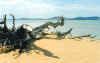 Photo,Coffin Bay National Park