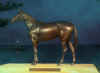 Makybe Diva Photo